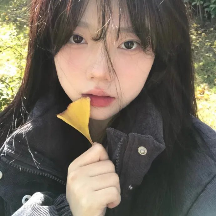 苍穹浩瀚第四季